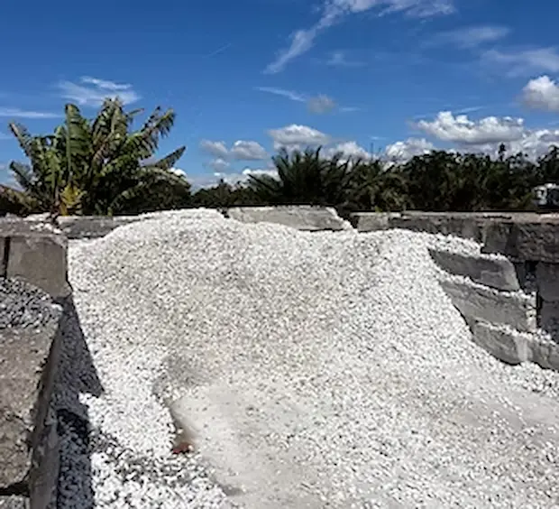 White Marble Chip